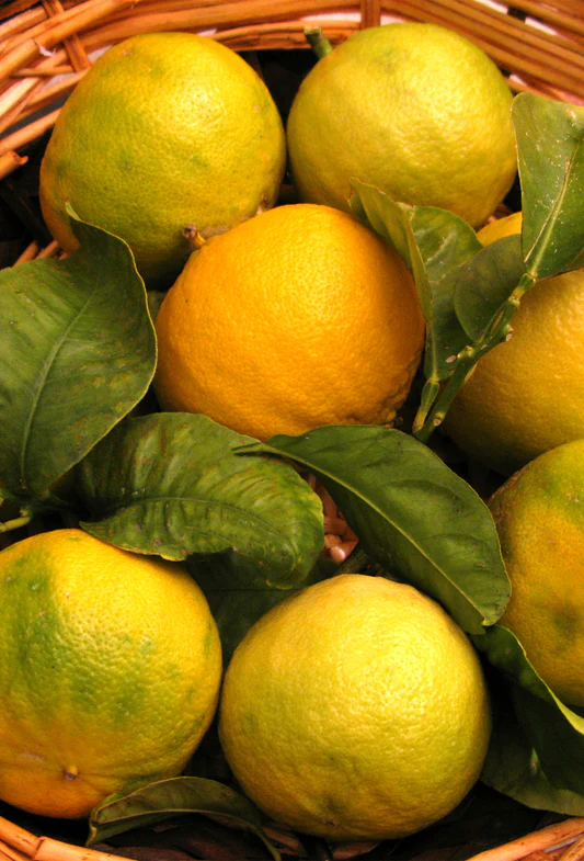 perfume bar in Naperville, perfume bar in Chicago, perfume bar in Aurora, perfume bar in Orland Park, perfume bar in Tinley Park, perfume bar in Palos Hills, perfume bar in West Loop, perfume bar in South Loop