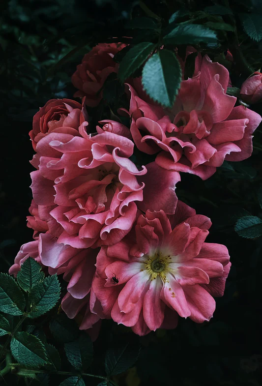 glitters and grace perfume bar, glitters and grace mobile parties, allergen and safety information at glitters and grace